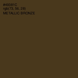 #49381C - Metallic Bronze Color Image